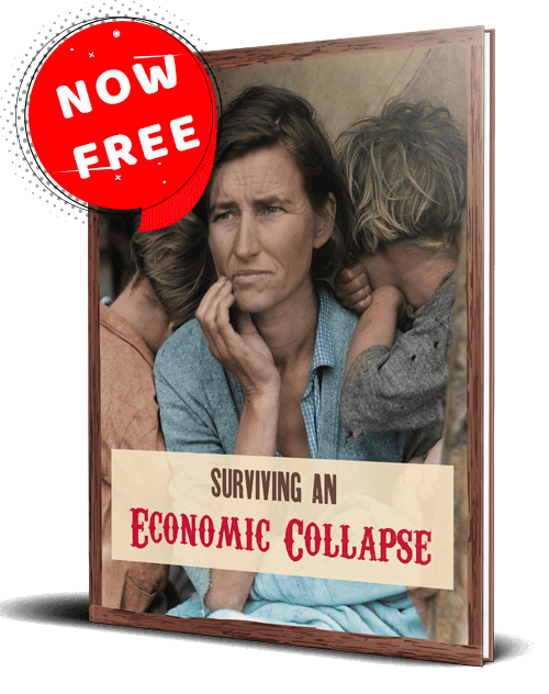 Economic Collapse