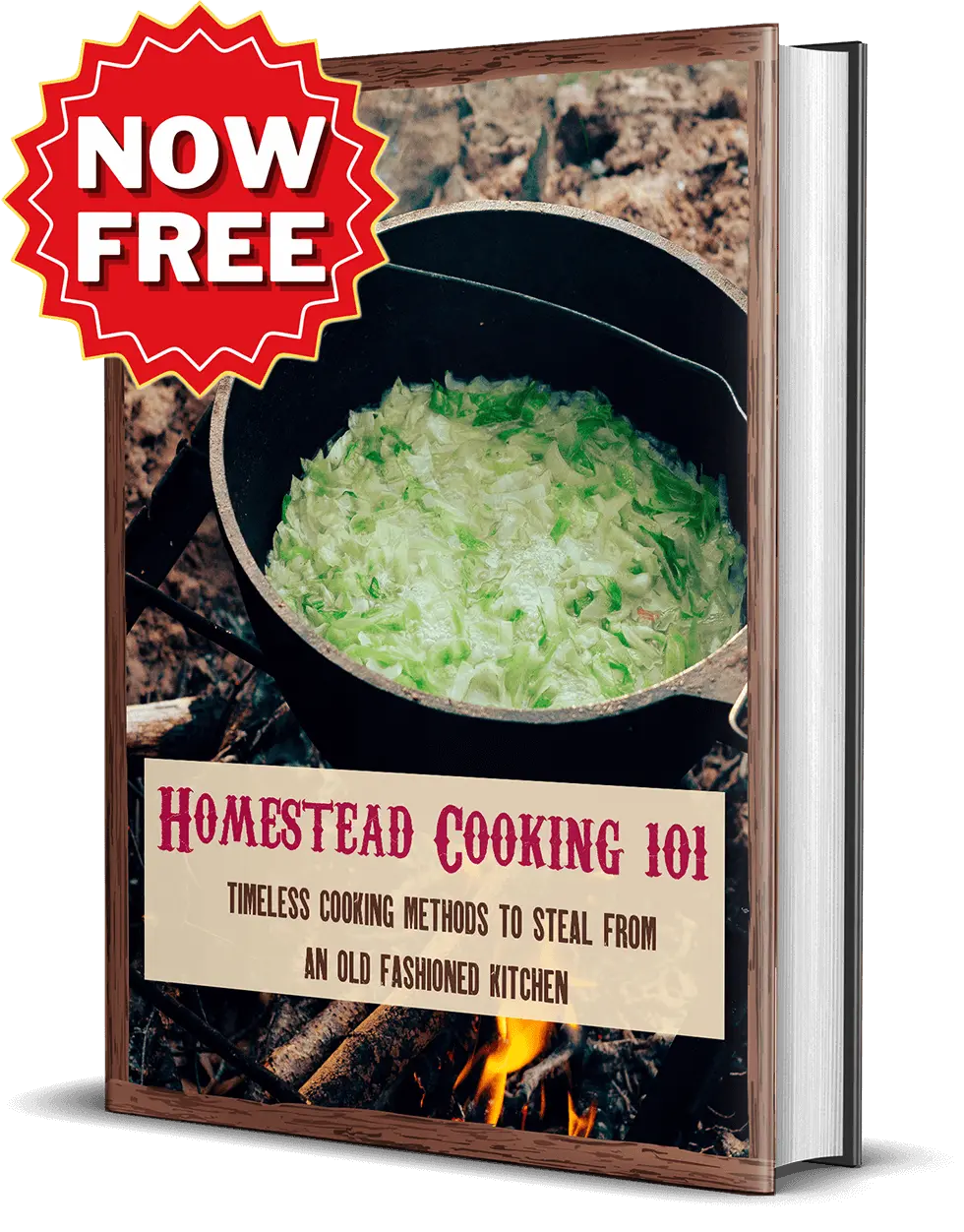 Homestead Cooking 101 - Bonus Digital Book